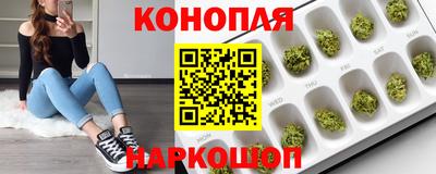 прущие крисы Моздок