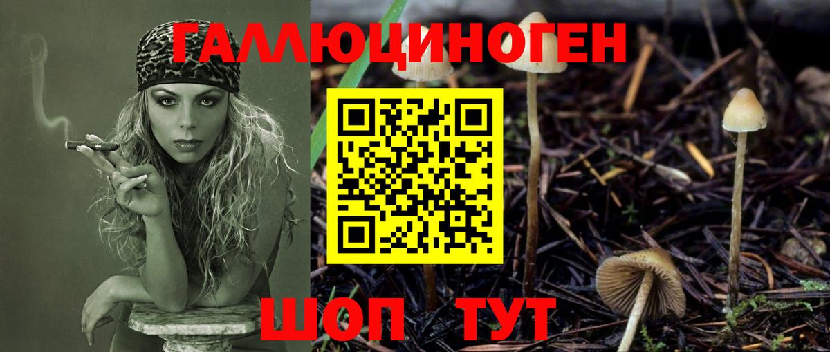 Псилоцибиновые грибы мицелий Усолье-Сибирское