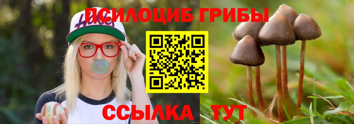 Галлюциногенные грибы мухоморы  Галлюциногенные грибы Magic Shrooms  Усолье-Сибирское  Вход с VPN 